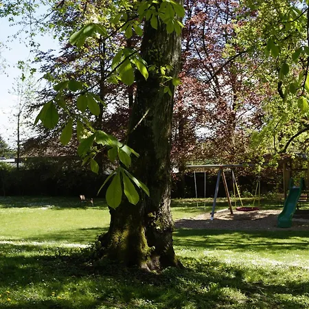 Schloss Puchberg فندق فيلس